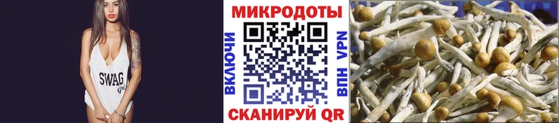 где продают наркотики  Белебей  Псилоцибиновые грибы MAGIC MUSHROOMS 